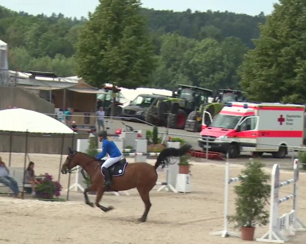 Reitturnier Küps/Ofr. 2019