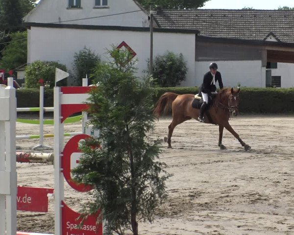 Reitturnier Leverkusen - Teitscheider Hof 2019