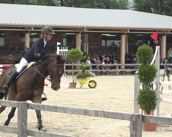 Reitturnier Hitzkirch 2019