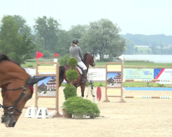 Reitturnier Hitzkirch 2019