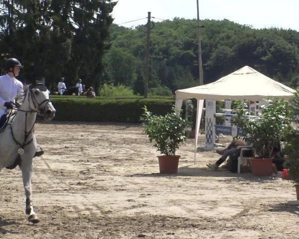 Reitturnier Leverkusen - Teitscheider Hof 2019