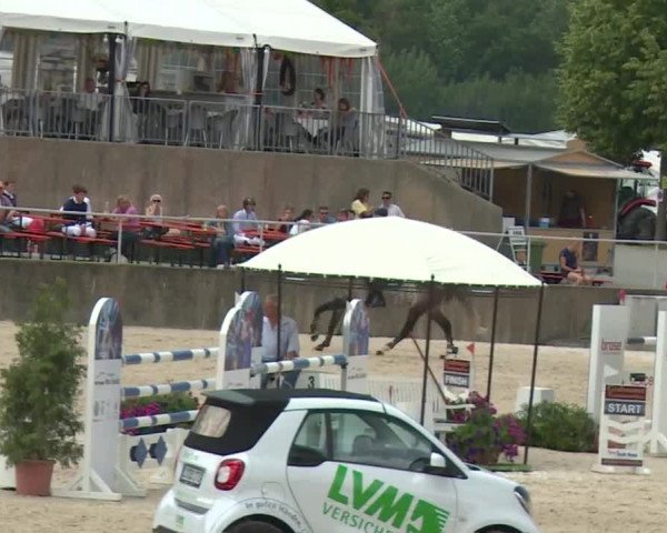 Reitturnier Küps/Ofr. 2019