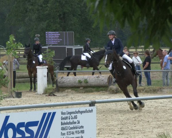 Reitturnier Coesfeld 2019