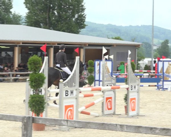 Reitturnier Hitzkirch 2019