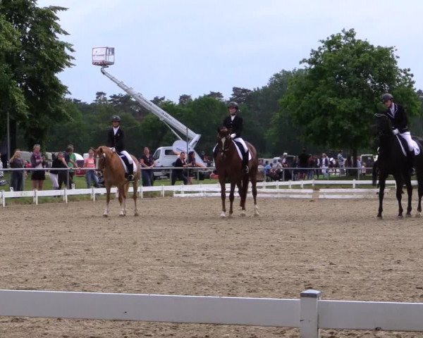 Reitturnier Coesfeld 2019