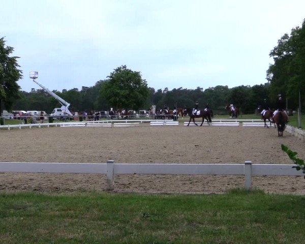 Reitturnier Coesfeld 2019