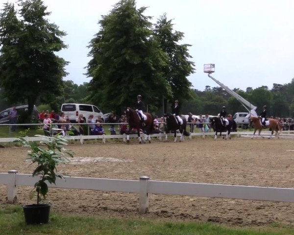 Reitturnier Coesfeld 2019