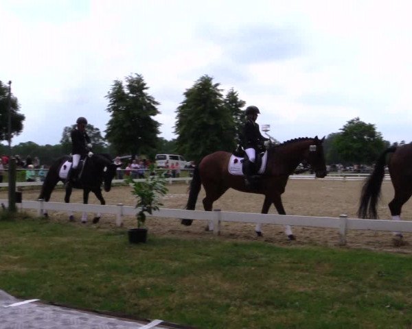 Reitturnier Coesfeld 2019