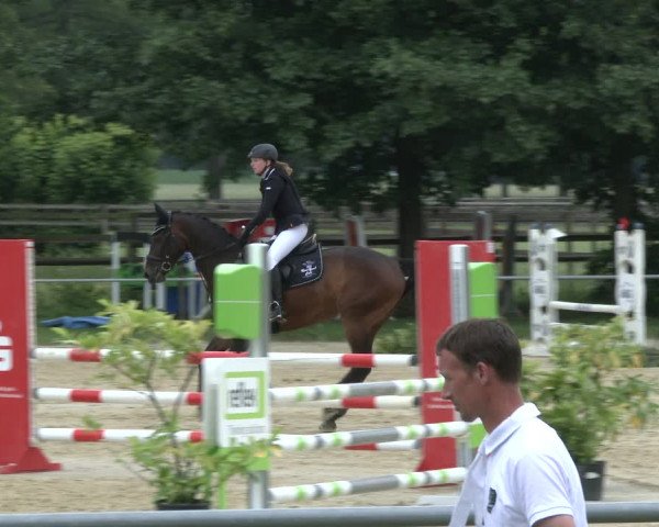 Reitturnier Coesfeld 2019