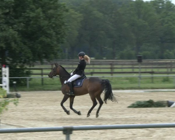 Reitturnier Coesfeld 2019