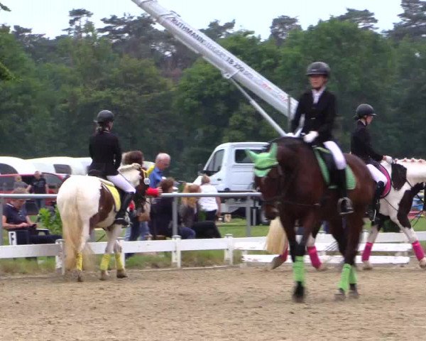 Reitturnier Coesfeld 2019