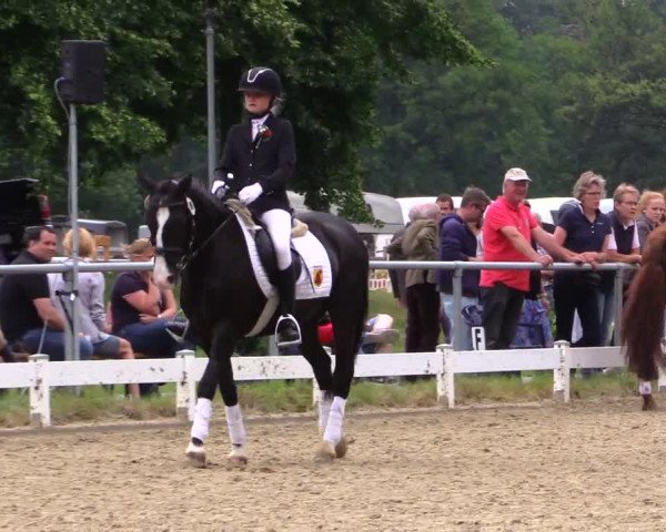 Reitturnier Coesfeld 2019