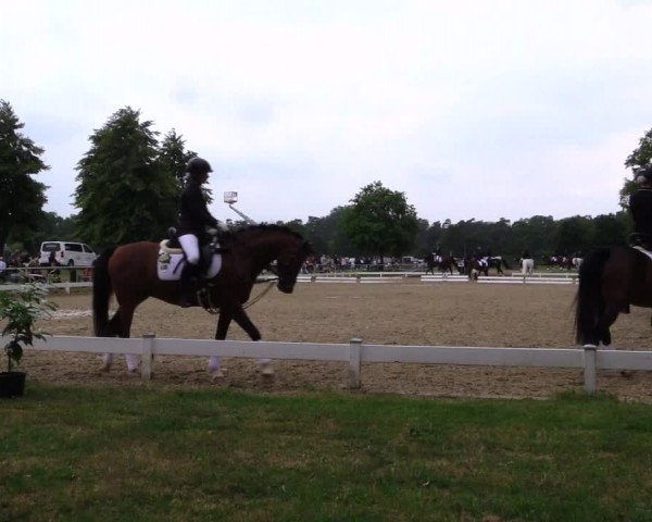 Reitturnier Coesfeld 2019