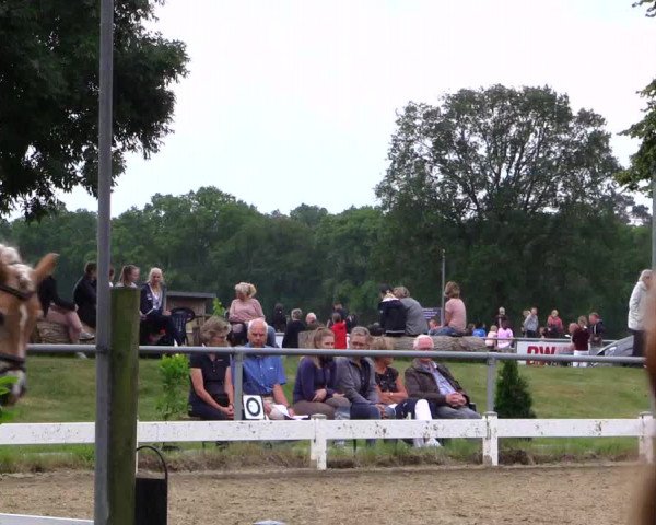 Reitturnier Coesfeld 2019