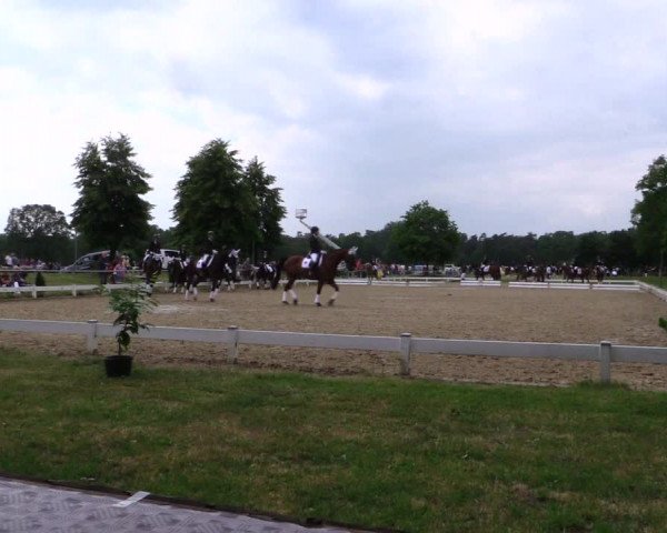 Reitturnier Coesfeld 2019