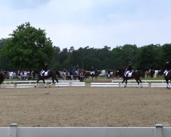 Reitturnier Coesfeld 2019