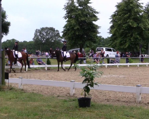 Reitturnier Coesfeld 2019
