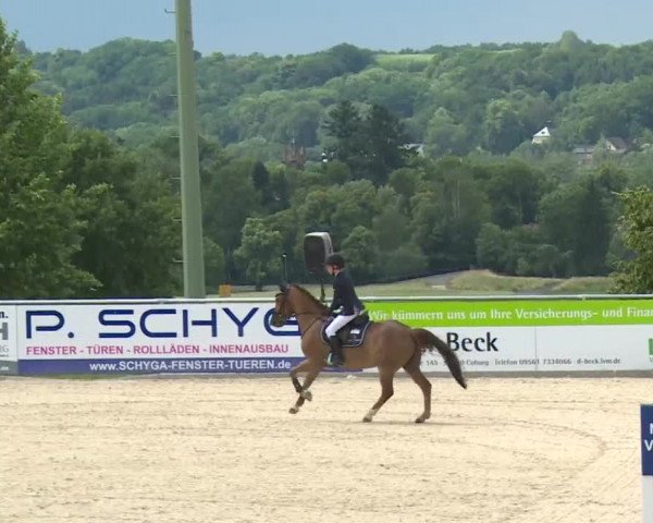 Reitturnier Küps/Ofr. 2019