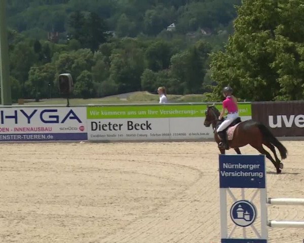 Reitturnier Küps/Ofr. 2019