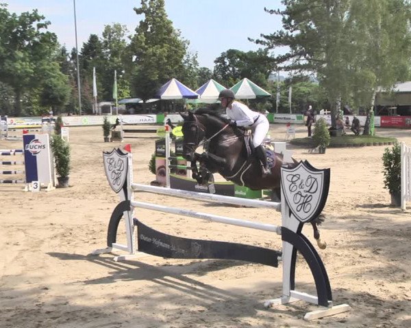 Reitturnier Viernheim 2019