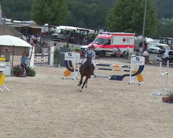 Reitturnier Küps/Ofr. 2019