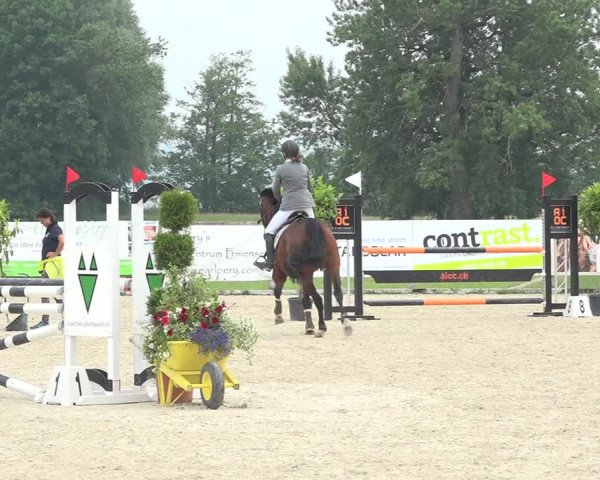 Reitturnier Hitzkirch 2019