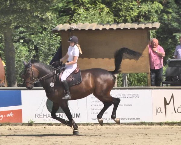 Reitturnier Viernheim 2019