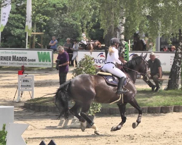 Reitturnier Viernheim 2019