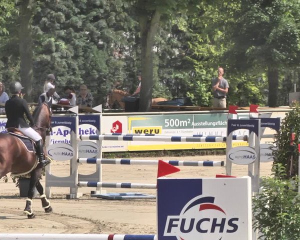 Reitturnier Viernheim 2019