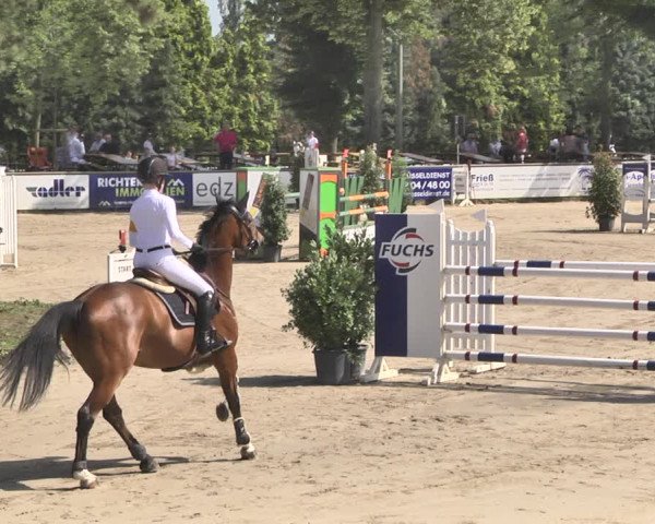 Reitturnier Viernheim 2019