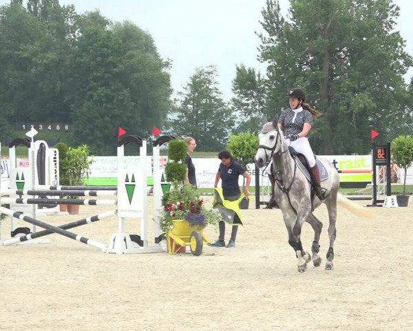 Reitturnier Hitzkirch 2019