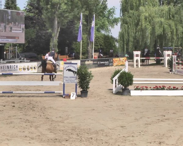 Reitturnier Viernheim 2019