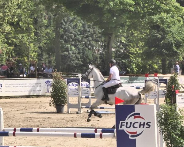 Reitturnier Viernheim 2019