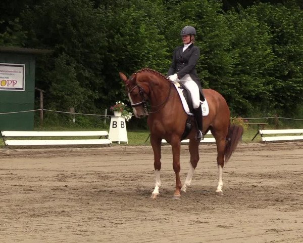 Reitturnier Hanerau-Hademarschen 2019