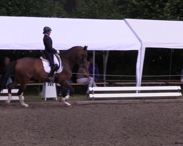 Reitturnier Hanerau-Hademarschen 2019