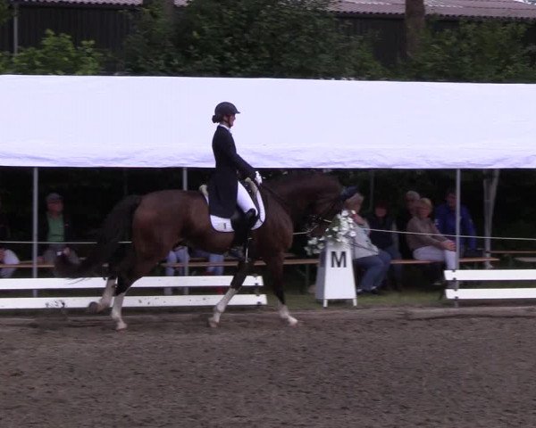 Reitturnier Hanerau-Hademarschen 2019