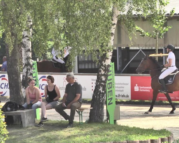 Reitturnier Viernheim 2019