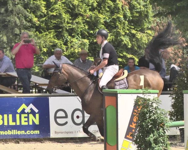 Reitturnier Viernheim 2019