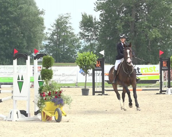 Reitturnier Hitzkirch 2019