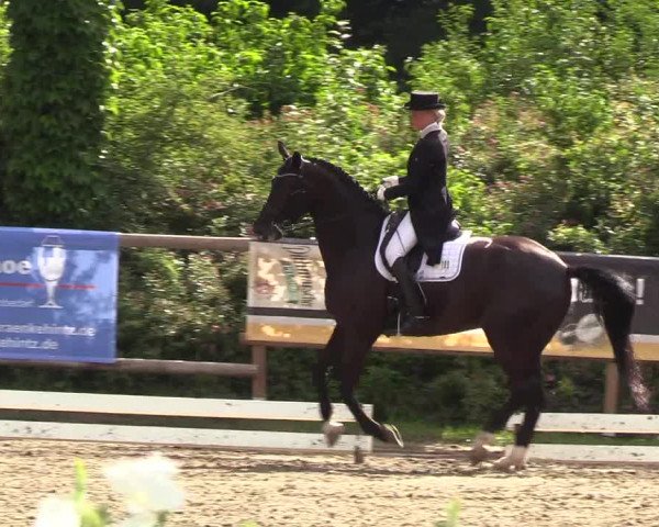 Reitturnier Hanerau-Hademarschen 2019