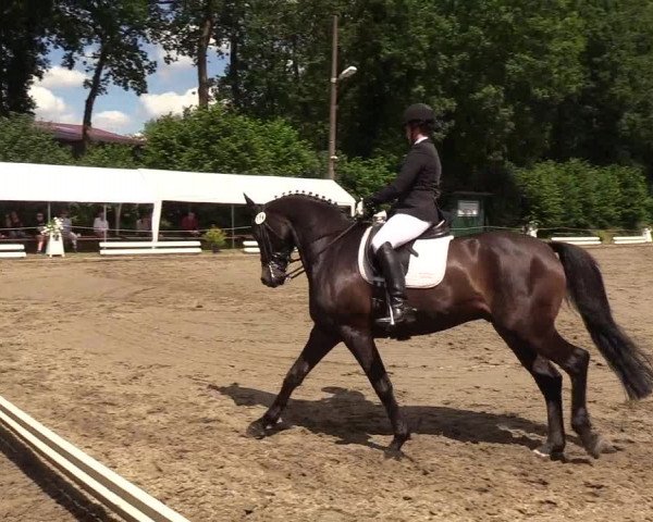 Reitturnier Hanerau-Hademarschen 2019