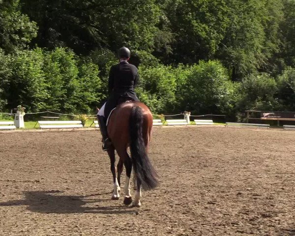 Reitturnier Hanerau-Hademarschen 2019