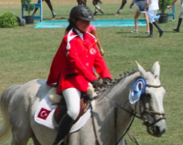 Springpferd Bering Deux (Anglo-Araber, 2002, von Quatar de Plape AA)