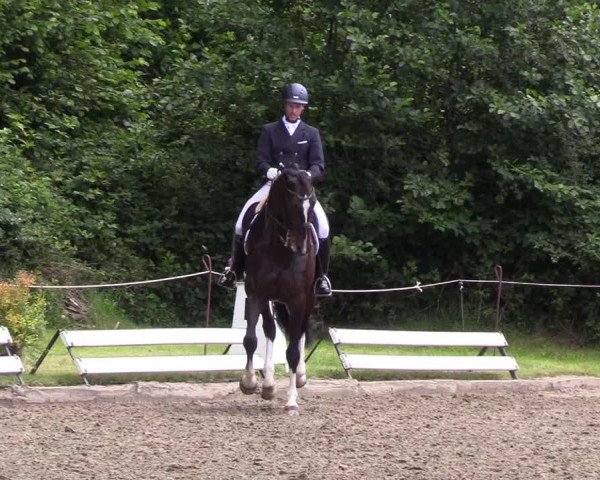 Reitturnier Hanerau-Hademarschen 2019