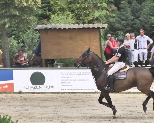 Reitturnier Viernheim 2019