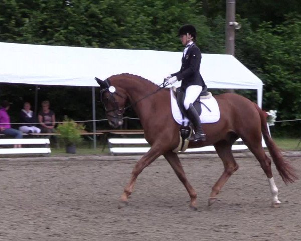 Reitturnier Hanerau-Hademarschen 2019