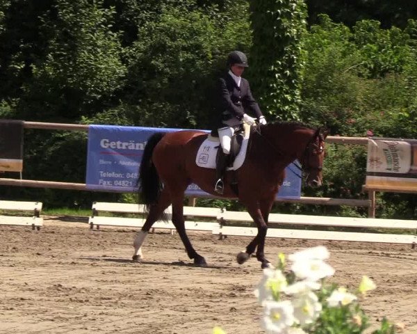 Reitturnier Hanerau-Hademarschen 2019