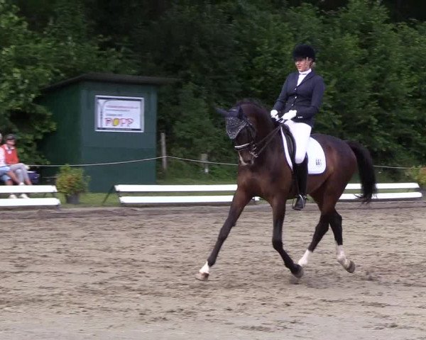 Reitturnier Hanerau-Hademarschen 2019