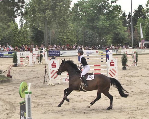 Reitturnier Viernheim 2019