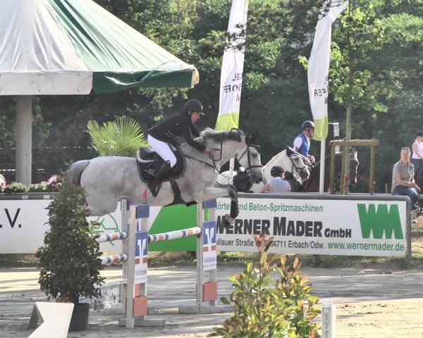 Reitturnier Viernheim 2019